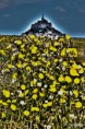 /album/saint-michel-et-son-mont-/le-mont-sur-un-tapis-de-fleur-jpg/
